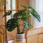 Cây trầu bà giả, cây cảnh giả, cây giả decor, cây giả