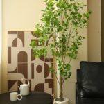 Cây thiên trúc giả, cây cảnh giả, cây giả decor, cây giả