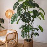 Cây trầu bà giả, cây cảnh giả, cây giả