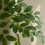 Cây du giả, cây cảnh giả, cây giả decor, cây giả