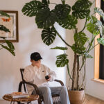 Cây trầu bà giả, cây cảnh giả, cây giả decor, cây giả