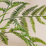 Câydương xỉ giả, cây cảnh giả, cây giả decor, cây giả