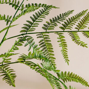 Câydương xỉ giả, cây cảnh giả, cây giả decor, cây giả