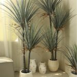 Cây máu rồng giả, cây cảnh giả, cây giả decor, cây giả