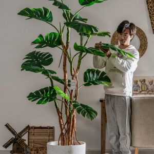 Cây trầu bà giả, cây cảnh giả, cây giả decor, cây giả