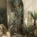 Cây máu rồng giả, cây cảnh giả, cây giả decor, cây giả