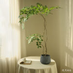 Cây du giả, cây cảnh giả, cây giả decor, cây giả