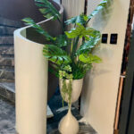 Cây trầu bà giả, cây cảnh giả, cây giả decor, cây giả