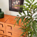 Cây hoàng liên giả, cây cảnh giả, cây giả decor, cây giả