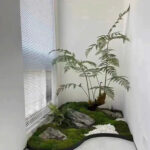 cây cảnh cây cảnh giả sang trọng hiện đại