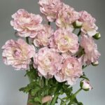 Hoa mao lương giả, hoa decor trang trí nhà cửa, hoa giả