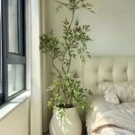 Cây thiên trúc giả, cây cảnh giả decor, cây giả, cây cảnh giả