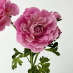 Hoa mao lương giả, hoa decor trang trí nhà cửa, hoa giả