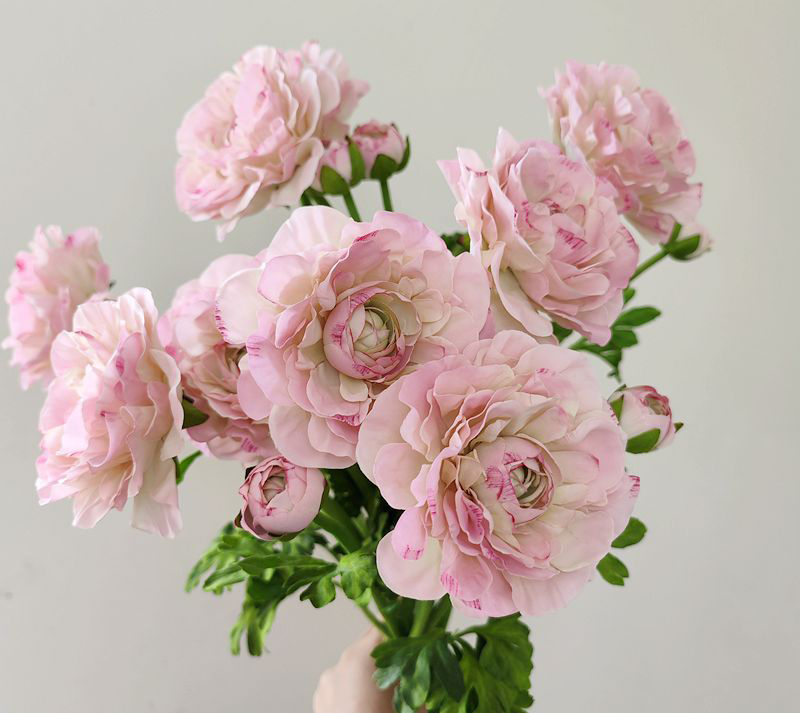 Hoa mao lương giả, hoa decor trang trí nhà cửa Hoa mao lương giả, hoa decor trang trí nhà cửa, hoa giả