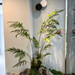 Cây giả, cây giả trang trí phong cách hiện đại