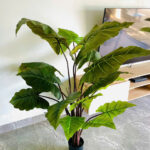 Cây hiên niên kiện giả, cây cảnh giả, cây giả decor, cây giả