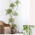 Cây hoàng liên giả, cây cảnh giả, cây giả decor, cây giả