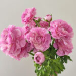 Hoa mao lương giả, hoa decor trang trí nhà cửa, hoa giả