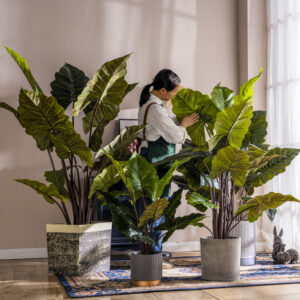 Cây thiên niên kiện giả, cây cảnh giả, cây giả decor, cây giả