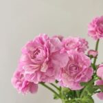 Hoa mao lương giả, hoa decor trang trí nhà cửa, hoa giả