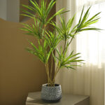 Cây thiên niên kỷ giả, cây cảnh giả, cây giả decor, cây giả