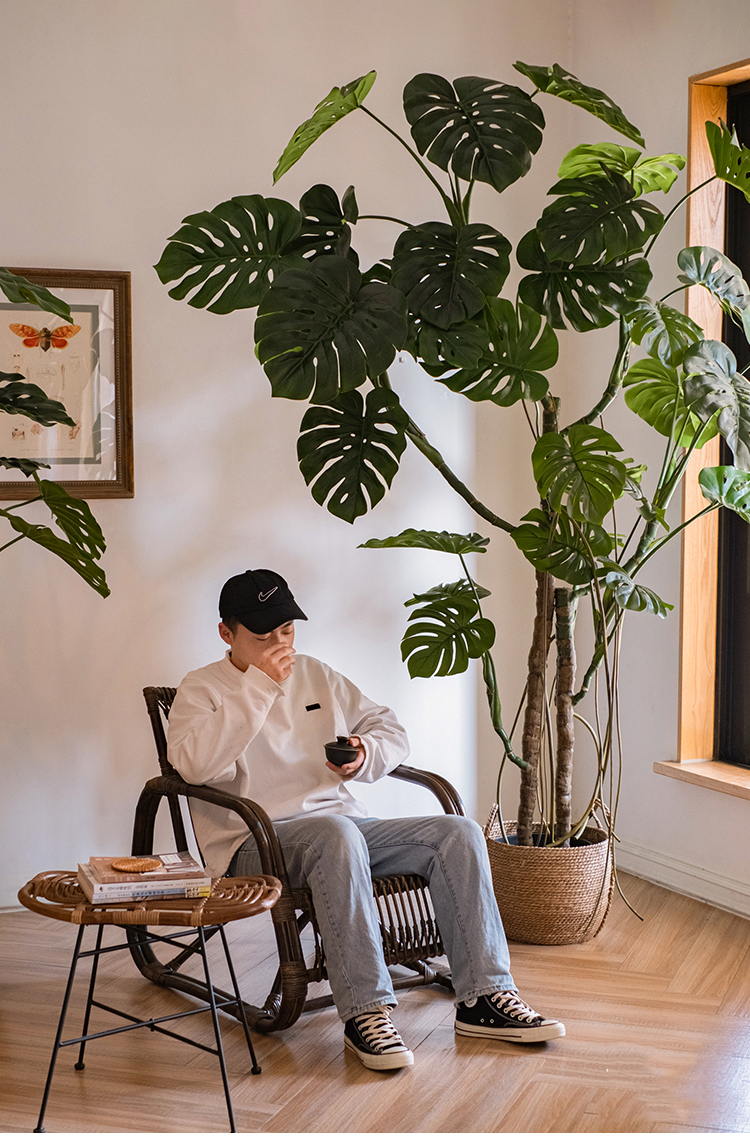 Cây cảnh giả, cây giả trang trí cây cảnh giả decor