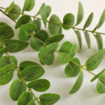 Cành khuynh diệp giả, cành cây giả trang trí