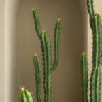 Cây xương rồng giả, cây cảnh giả, cây giả decor, cây giả