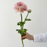 Hoa mao lương giả, hoa decor trang trí nhà cửa, hoa giả