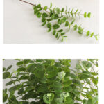 Cành khuynh diệp giả, cành cây giả trang trí