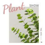 Cành khuynh diệp giả, cành cây giả trang trí