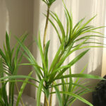 Cây thiên niên kỷ giả, cây cảnh giả, cây giả decor, cây giả