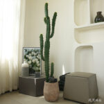 Cây xương rồng giả, cây cảnh giả, cây giả decor, cây giả