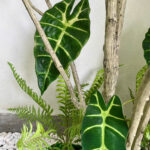 Tiểu cảnh giả, cây sơn chi 1m8, cây giả