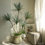 cây huyết giác giả, cành cây giả, cành giả, cây giả