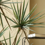 cây huyết giác giả, cành cây giả, cành giả, cây giả