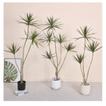 thiên niên kỷ sa mạc giả, cành cây giả, cành giả, cây giả