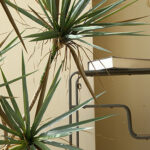 cây huyết giác giả, cành cây giả, cành giả, cây giả