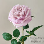 Hoa hồng giả, hoa giả, hoa giả trang trí nhà cửa