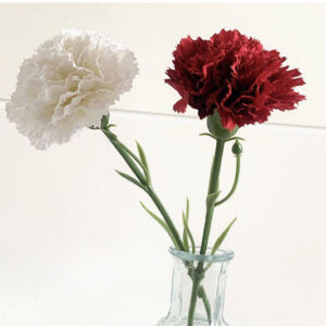 Hoa cẩm chướng giả decor trang trí