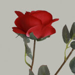 Hoa hồng giả trang trí nhà cửa