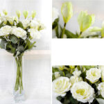 Hoa lan tường giả - hoa cát tường giả trang trí nhà cửa