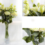 Hoa lan tường giả trang trí nhà cửa cao cấp