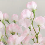 Hoa Đậu giả trang trí nhà cửa