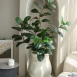 Cây đa giả, cây cảnh giả trang trí nhà cửa