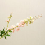 Hoa phi yến giả trang trí nhà cửa