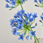 Hoa Thanh anh giả trang trí nhà cửa