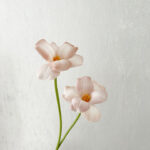 Hoa tuylip giả trang trí nhà cửa