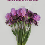 Hoa diên vĩ giả trang trí nhà cửa