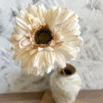 Hoa đồng tiền giả trang trí nhà cửa